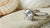 Do Clarity Enhanced Diamonds Last? Understanding Their Durability and Value
