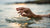 Do You Take Your Wedding Ring Off to Shower? Understanding Best Practices for Wedding Ring Care