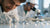 What is the Process of Lab-Grown Diamonds: A Comprehensive Insight