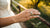 What Hand Is Your Wedding Ring Finger