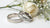 What Is a Wedding Band Ring