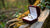 Which Side Do You Wear a Promise Ring? A Comprehensive Guide to Meaning, Style, and Customization