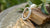 Can You Use an Eternity Ring as a Wedding Band? Exploring the Timeless Choice