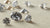 Are All Diamonds Lab Grown Now? Understanding the Shift in the Diamond Industry