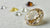 How Many Colors Are in a Diamond? A Deep Dive into Diamond Colors