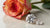 Are Lab Grown Diamonds Less Shiny? Exploring Their Beauty and Brilliance