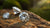 Is Lab-Grown Diamond Pawnable? Understanding the Value and Options of Lab-Created Diamonds