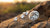 Is a Lab Grown Diamond Cheaper? Exploring the Cost, Value, and Ethics of Lab-Grown Diamonds