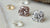 What's the Difference Between a Lab Diamond and a Natural Diamond?