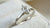 How Much Is a Half Carat Marquise Diamond Worth? Understanding Value, Quality, and Choices