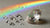 Do Diamonds Have Rainbow Colors? Understanding the Spectrum of Diamond Fire