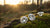 Are Lab-Grown Diamonds More Environmentally Friendly? Exploring the Sustainable Choice