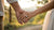 Can I Use a Promise Ring as an Engagement Ring? Understanding the Differences and Meanings