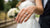 Where Should a Wedding Ring Be Worn
