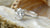 Is Oval Cut Diamond Good? The Ultimate Guide to Choosing the Perfect Oval Diamond