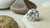 The Ultimate Guide to Understanding the Cost of a 4 Carat Lab Grown Diamond
