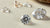 Are Lab Grown Diamonds Cheaper Than Mined Diamonds? A Comprehensive Guide