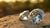 Do Real Diamonds Reflect Color? Understanding the Light and Brilliance of Diamonds