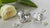 Is Radiant or Cushion Cut Better? A Comprehensive Guide to Diamond Shapes