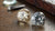 Can You Tell the Difference Between Lab Created Diamonds and Real Diamonds?