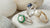 Does an Engagement Ring Have to Be Diamond? A Journey into Alternative Choices for Your Love Story