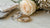 Which Wedding Ring Is The Best: Choosing Your Ideal Band
