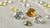Understanding What Color Means for Diamonds: The Definitive Guide