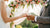 Why Is the Wedding Ring Placed on the Left Hand