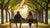 When to Get a Promise Ring: A Comprehensive Guide to Commitment