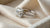 The Ultimate Guide to Cushion Cut Diamond Engagement Rings