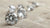 Does Lab Grown Diamond Lose Shine? Understanding the Brilliance of Ethical Luxury