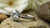 How Much is a 5 Carat Round Diamond Worth?