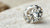 The Ultimate Guide to the Most Expensive Diamond Shapes