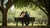 When Should You Give Your Partner a Promise Ring? A Comprehensive Guide