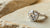 How Much is a 3 Carat Lab Diamond? Understanding the Value of Ethical Luxury