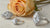 Why Are Marquise Diamonds So Expensive? Understanding the Value of Unique Elegance