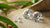 What's a Lab Grown Diamond Called? Understanding the New Era of Ethical Luxury