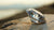What Color Does a Diamond Reflect? Understanding the Spectrum of Light in Diamonds