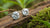 How Big Are 1/2 Carat Diamond Earrings? A Guide to Size, Style, and Ethical Choices