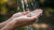 Can You Shower With Your Wedding Ring? The Essential Guide to Caring for Your Rings