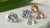 What Diamond Cut is Best for Fat Fingers: A Comprehensive Guide
