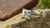 How Big is a 1.5 Carat Princess Cut Diamond? Understanding Size, Sparkle, and Selection