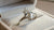How Much Does a 3 Carat Marquise Diamond Cost? A Comprehensive Guide
