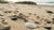 How To Find A Lost Wedding Ring