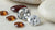 Are Oval or Round Diamonds More Expensive? Unpacking the Cost and Value of Diamond Shapes