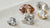What is the Diamond Shape? Understanding the Beauty and Significance of Diamond Cuts
