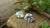 The Ultimate Guide to What's the Difference Between a Lab Diamond and Moissanite
