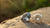 Understanding the Differences Between Lab-Grown Diamonds and Natural Diamonds