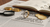 The Ultimate Guide to Understanding How Much a Gold Wedding Ring Costs