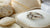 How Much Does a Solitaire Diamond Ring Cost?